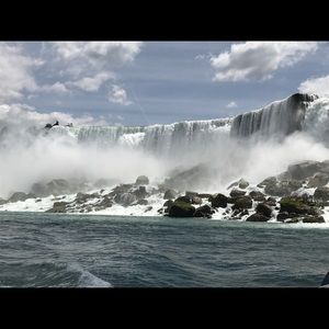 Meet your Posher, Janice